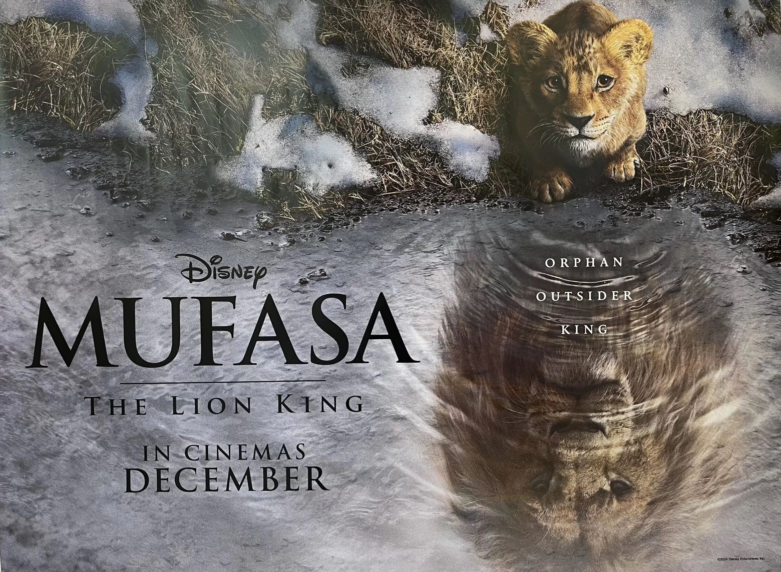 🎞Mufasa; The Lion King – December 19, 2024